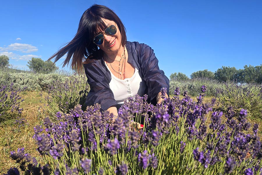 liquore alla lavanda