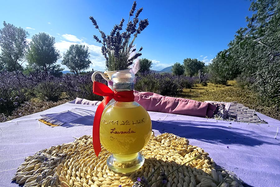 liquore alla lavanda