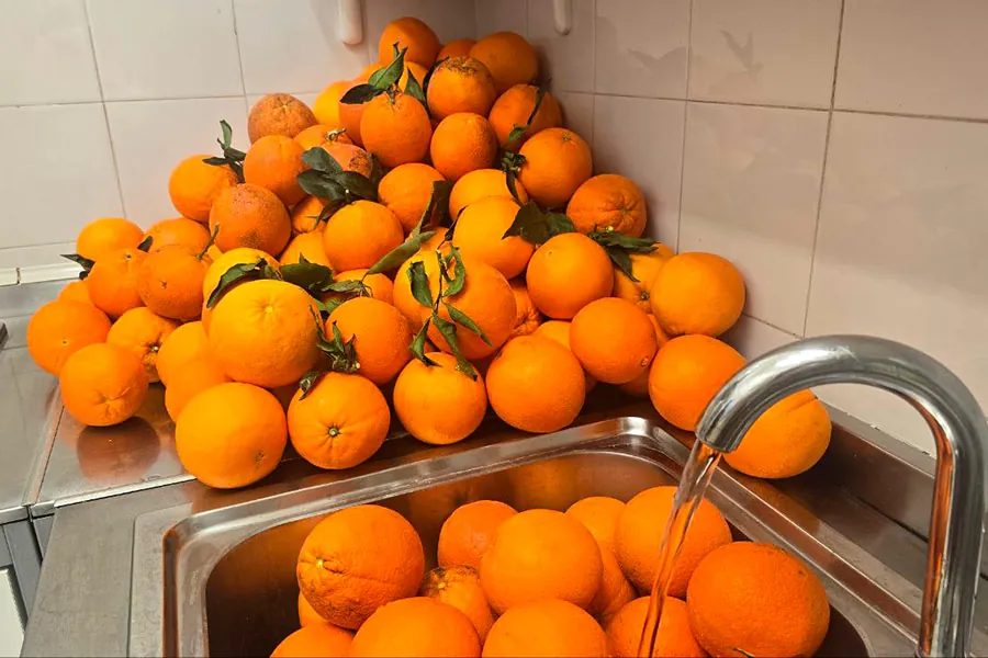 Arance fresche pronte per la macerazione